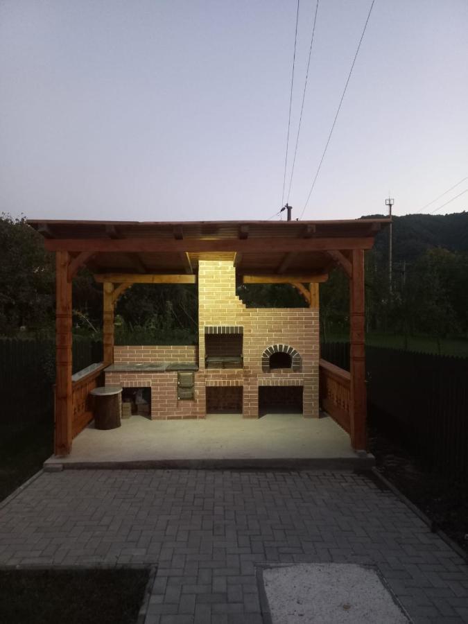 فيلا Casa Edy Vişeu de Sus المظهر الخارجي الصورة